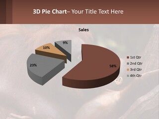 Orang Brown Motherhood PowerPoint Template