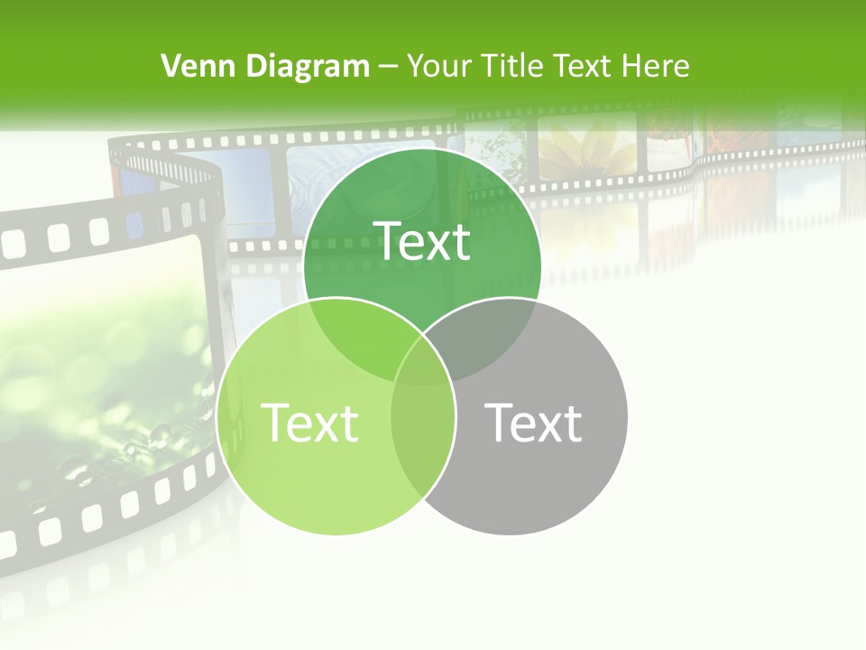 Hollywood Reflection Projection PowerPoint Template