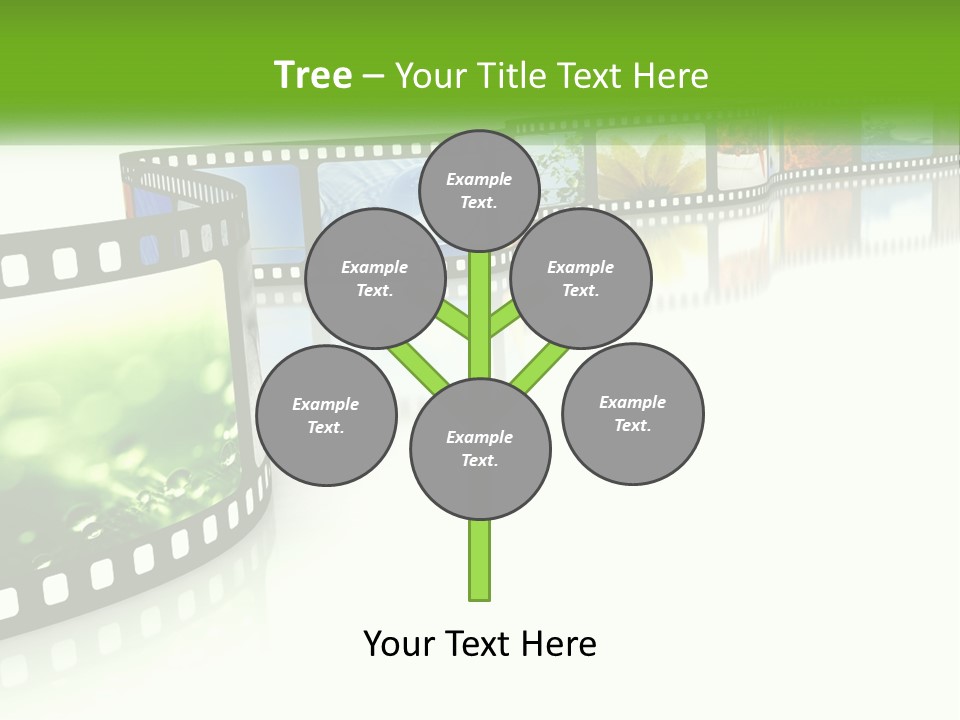 Hollywood Reflection Projection PowerPoint Template