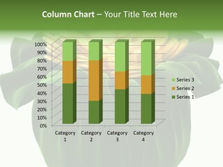 Gold Salary Closeup PowerPoint Template