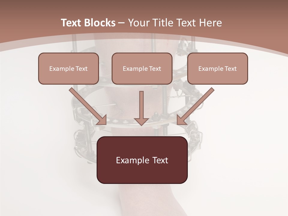 Bone Health Isolated PowerPoint Template