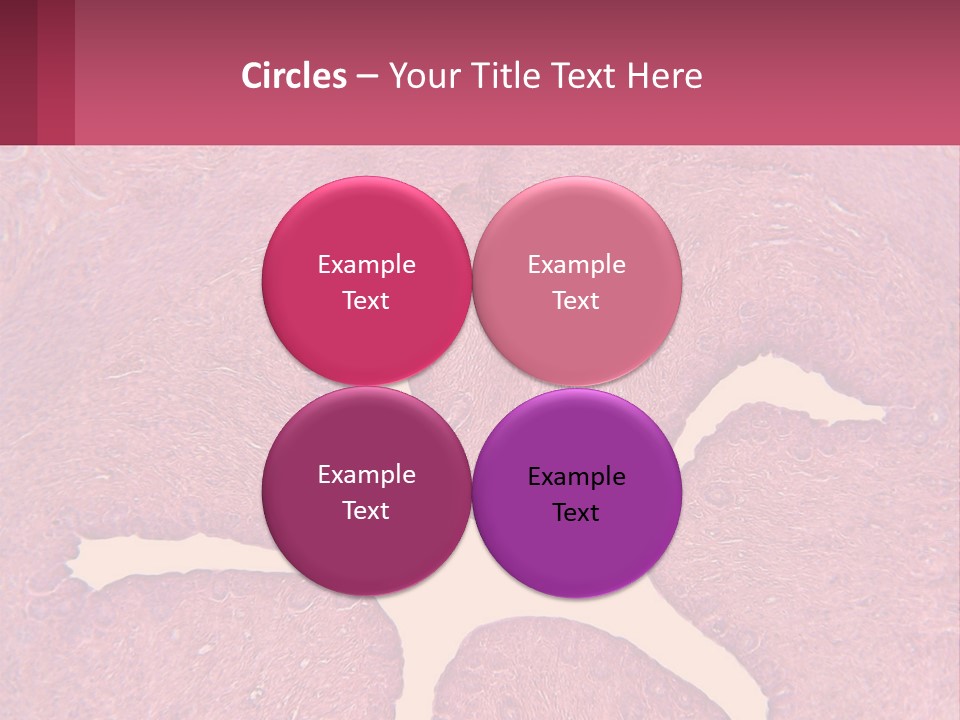 Medical Science Scientific PowerPoint Template