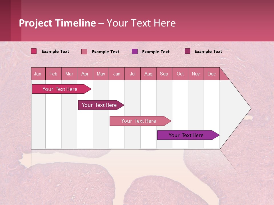 Medical Science Scientific PowerPoint Template