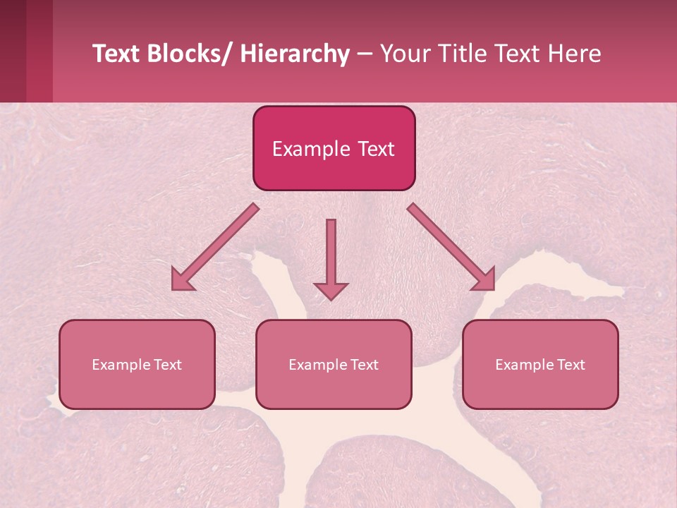 Medical Science Scientific PowerPoint Template