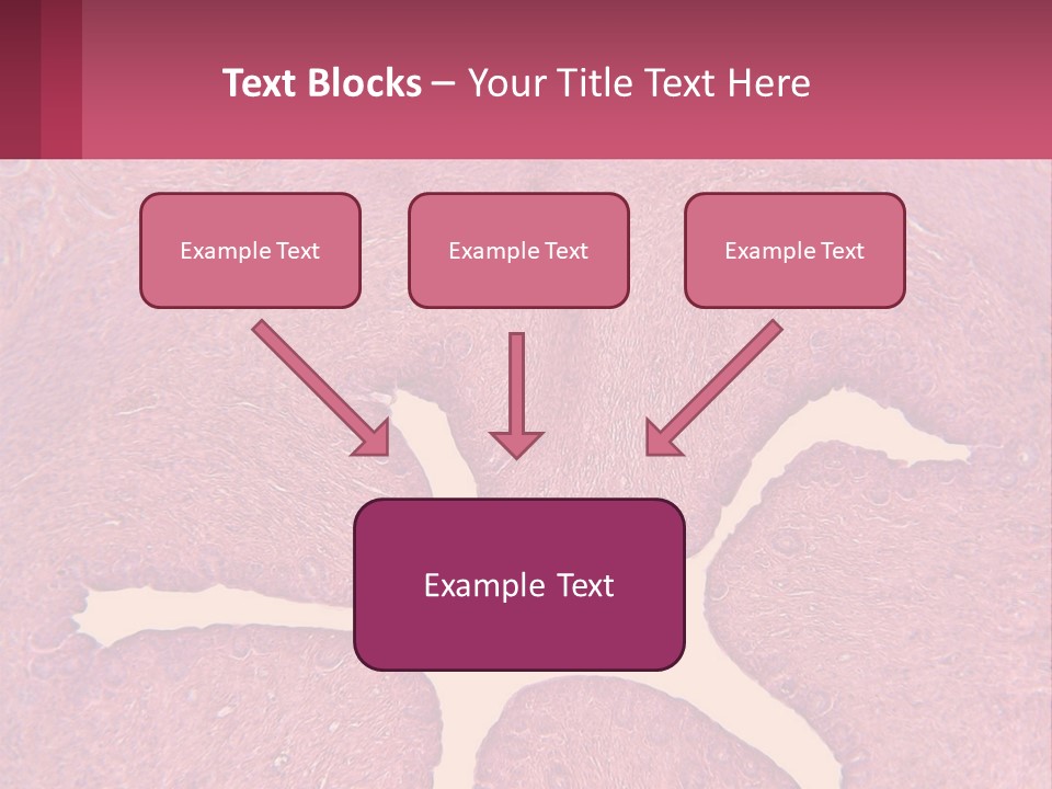 Medical Science Scientific PowerPoint Template