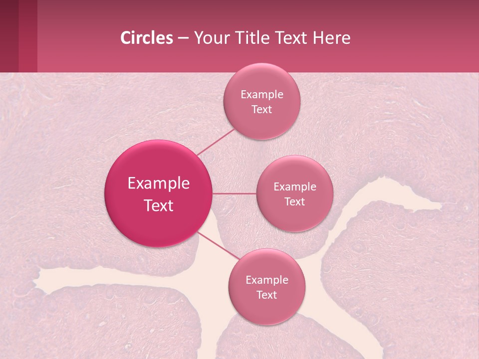 Medical Science Scientific PowerPoint Template