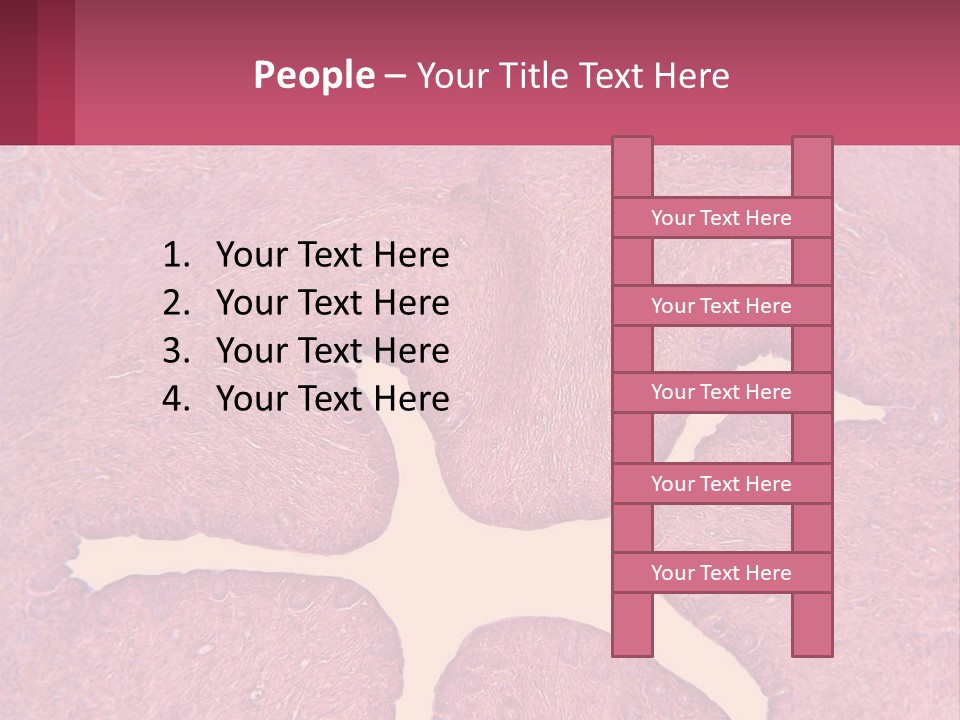 Medical Science Scientific PowerPoint Template