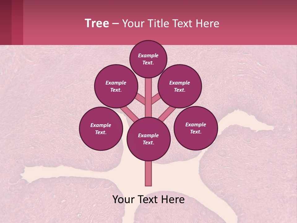 Medical Science Scientific PowerPoint Template