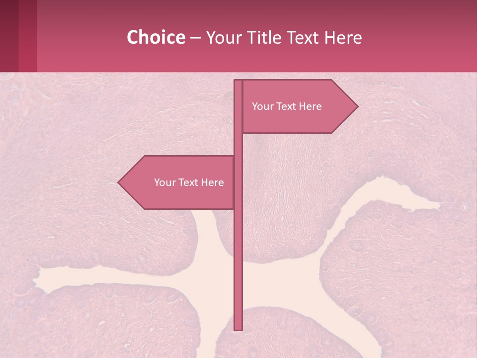 Medical Science Scientific PowerPoint Template