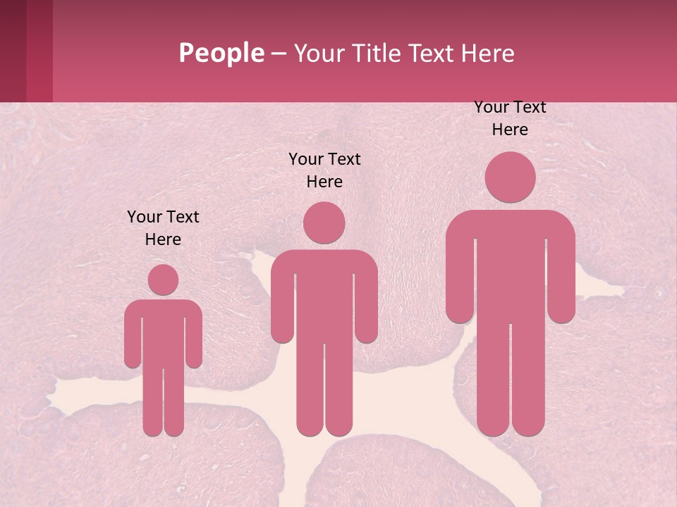 Medical Science Scientific PowerPoint Template