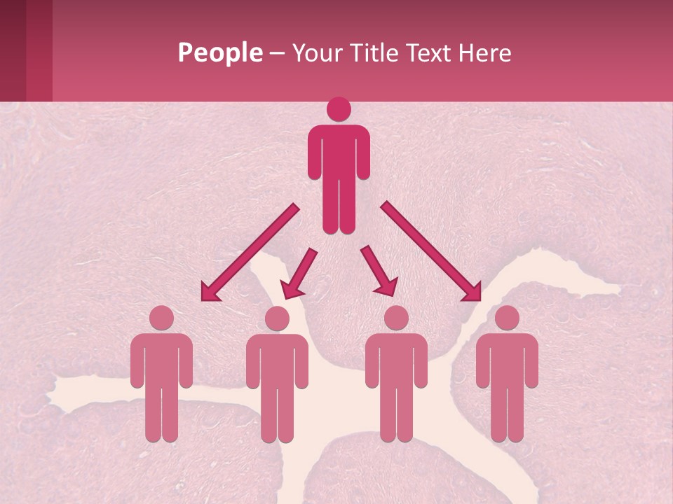 Medical Science Scientific PowerPoint Template