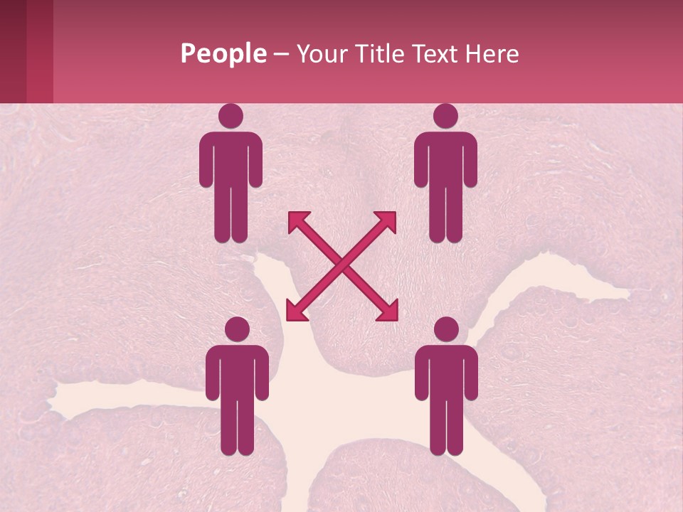 Medical Science Scientific PowerPoint Template