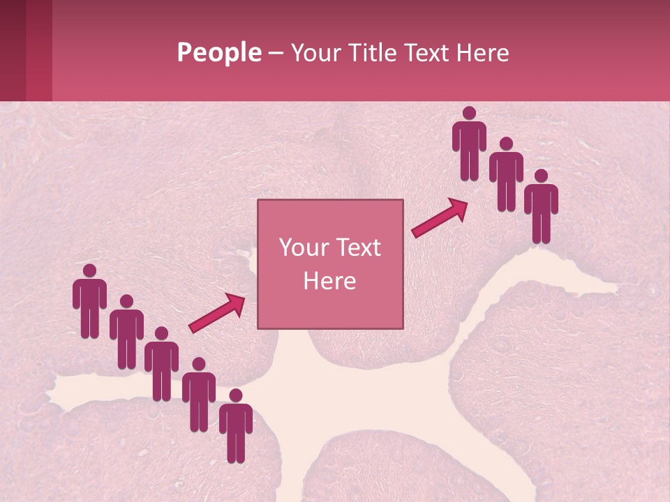 Medical Science Scientific PowerPoint Template