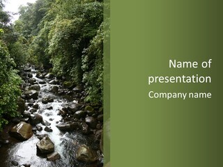 Trees Stream Flowing PowerPoint Template