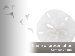 Brown Nature Marine PowerPoint Template