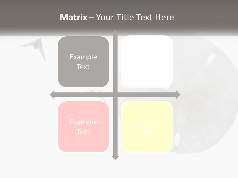 Brown Nature Marine PowerPoint Template