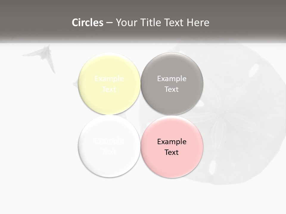 Brown Nature Marine PowerPoint Template