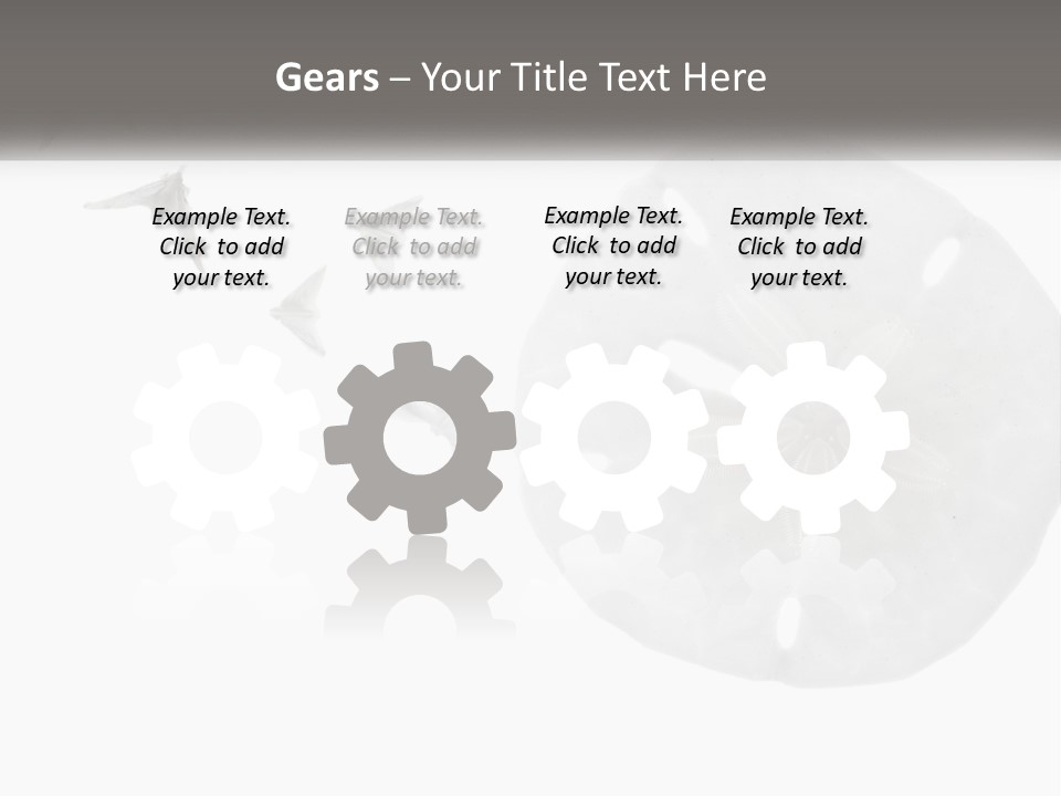 Brown Nature Marine PowerPoint Template