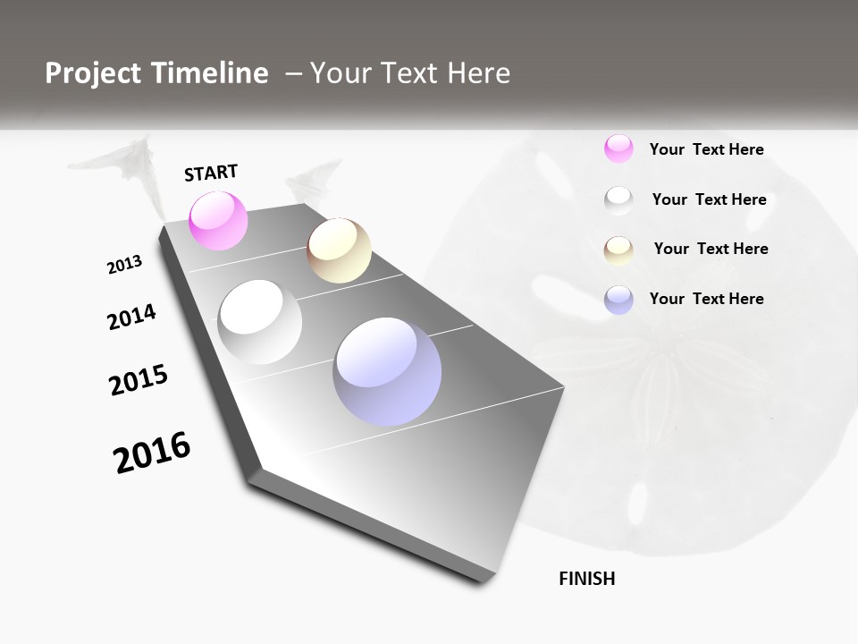 Brown Nature Marine PowerPoint Template