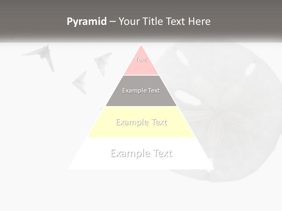 Brown Nature Marine PowerPoint Template