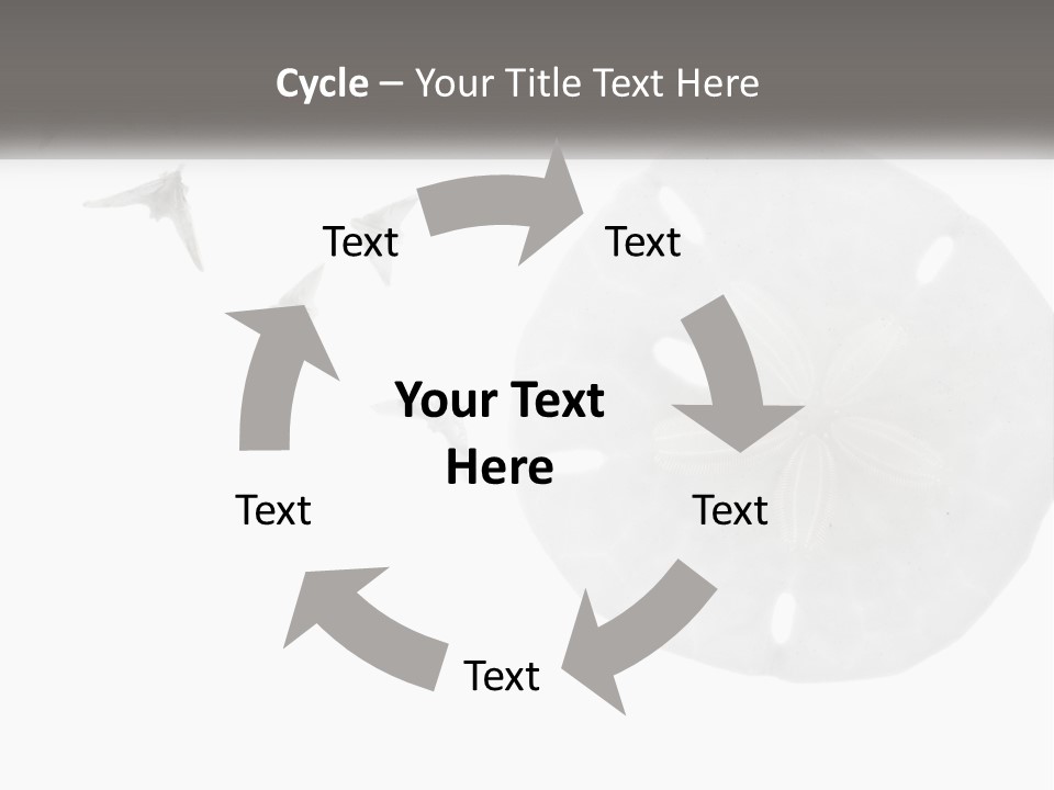 Brown Nature Marine PowerPoint Template