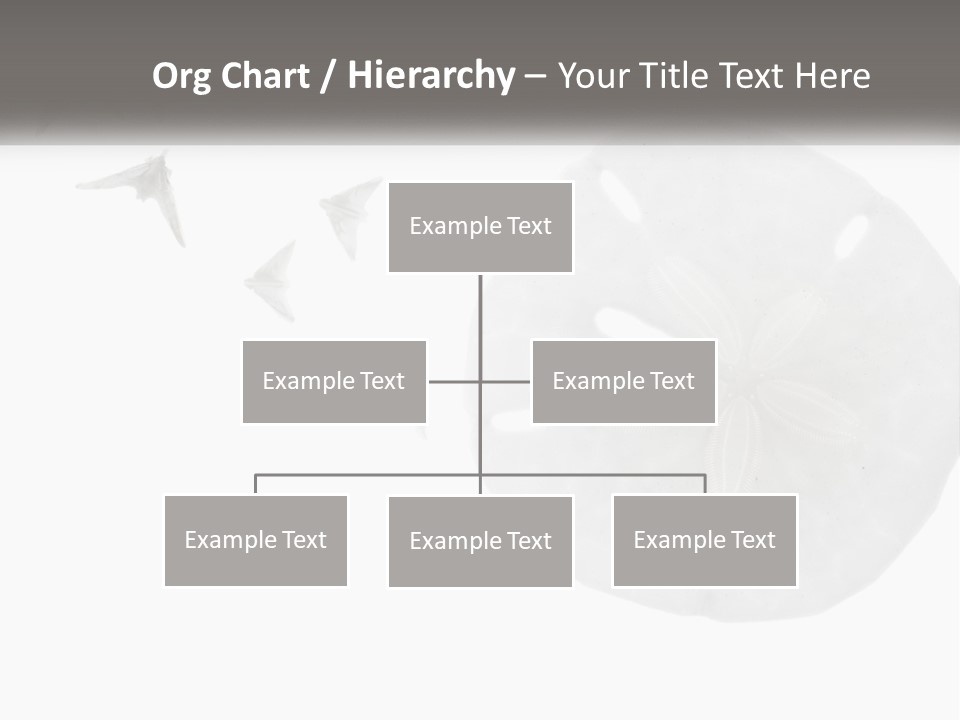Brown Nature Marine PowerPoint Template