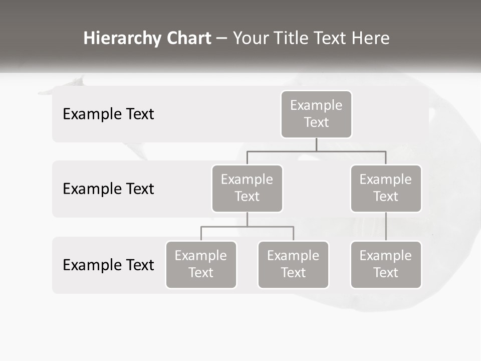 Brown Nature Marine PowerPoint Template