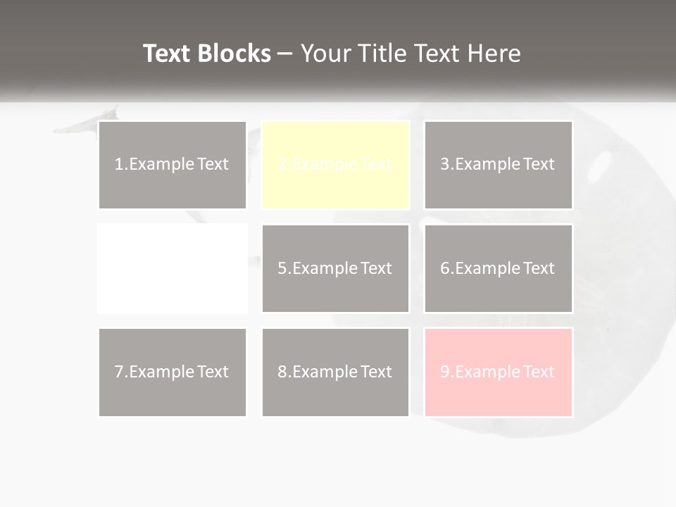 Brown Nature Marine PowerPoint Template