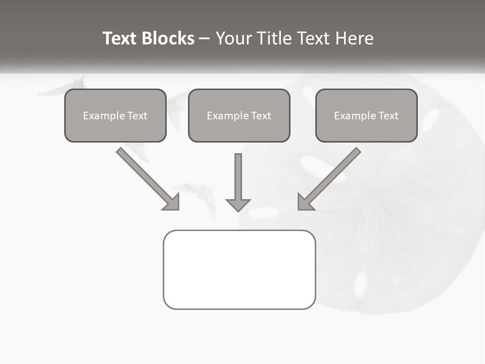Brown Nature Marine PowerPoint Template