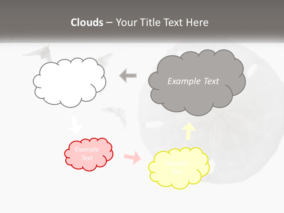 Brown Nature Marine PowerPoint Template