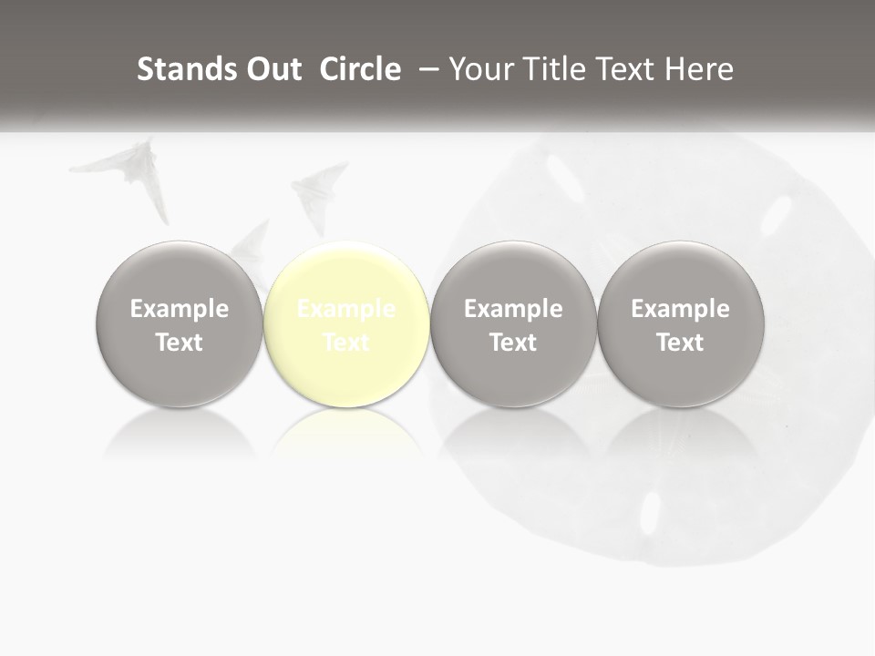 Brown Nature Marine PowerPoint Template