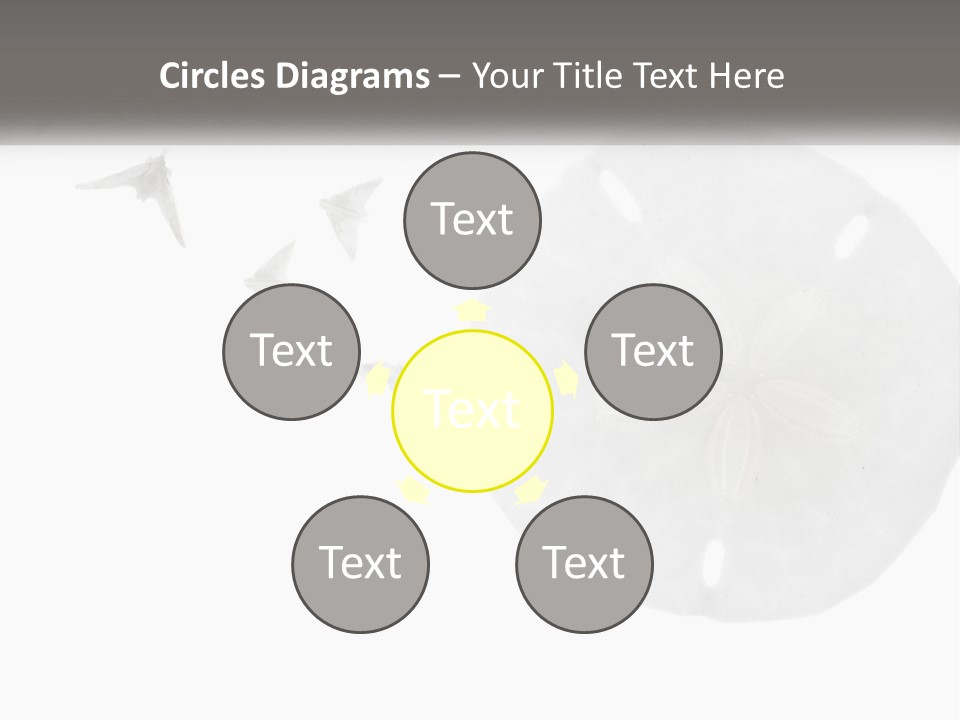 Brown Nature Marine PowerPoint Template