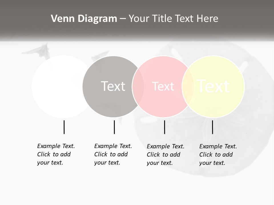 Brown Nature Marine PowerPoint Template