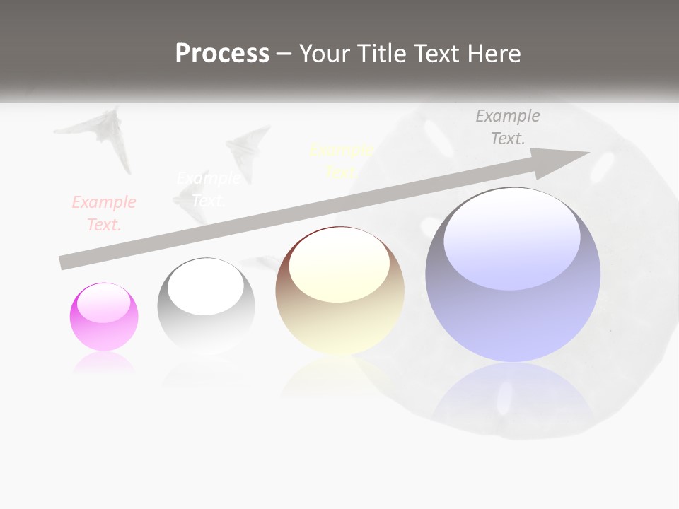 Brown Nature Marine PowerPoint Template