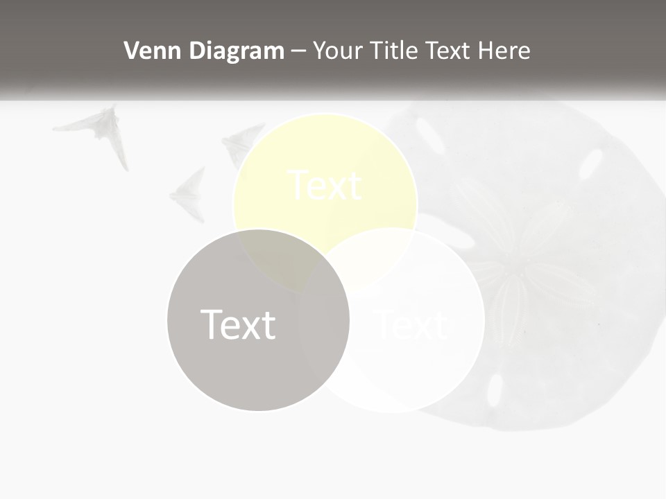 Brown Nature Marine PowerPoint Template