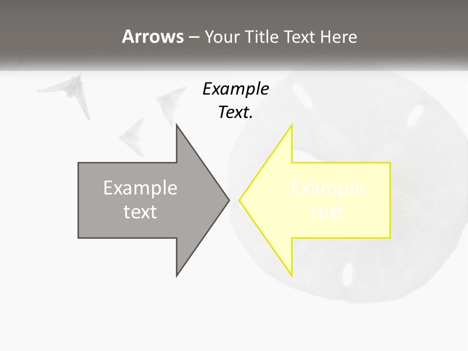 Brown Nature Marine PowerPoint Template