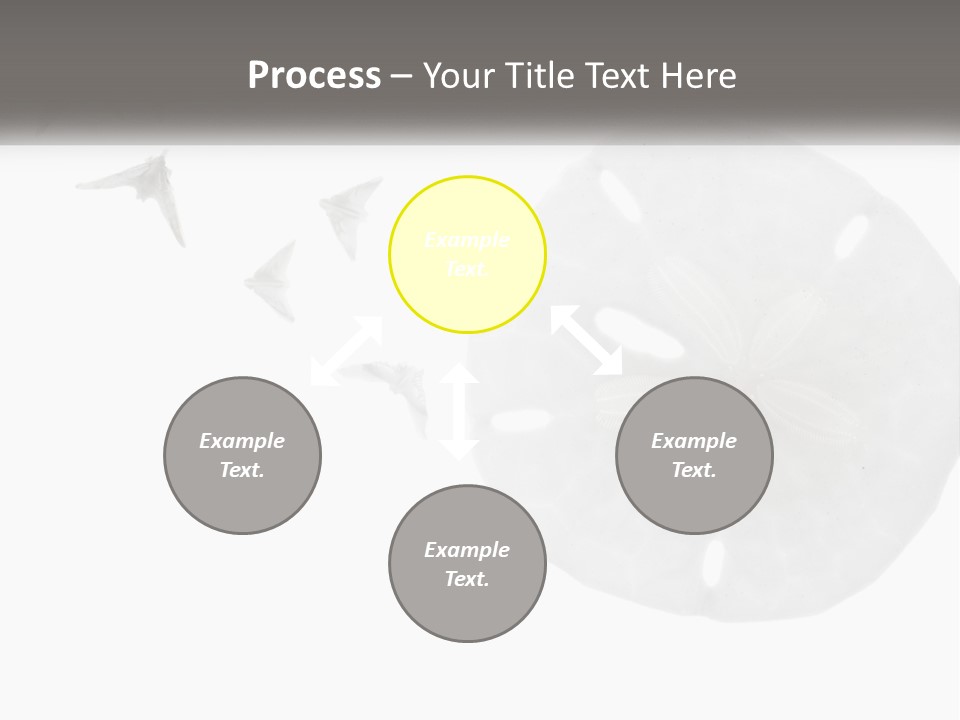 Brown Nature Marine PowerPoint Template