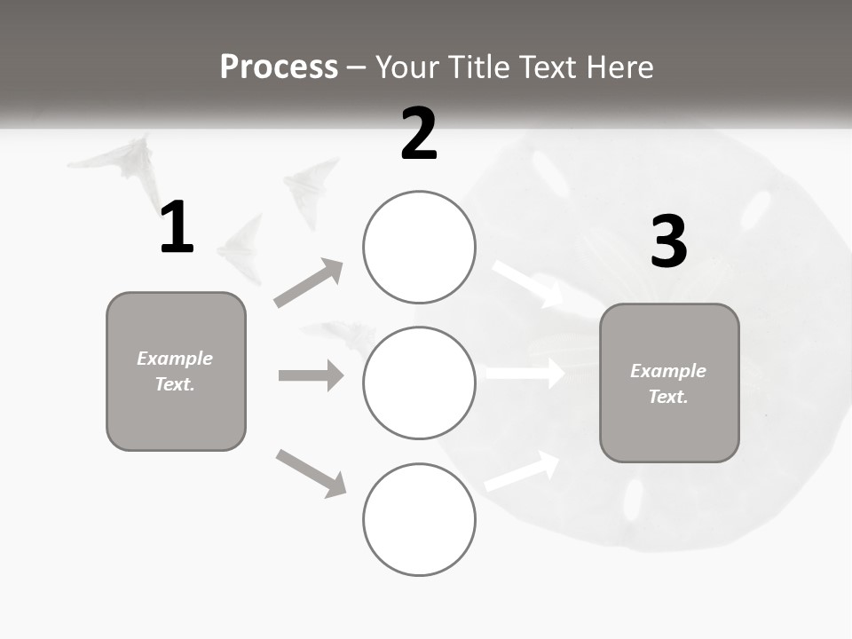 Brown Nature Marine PowerPoint Template