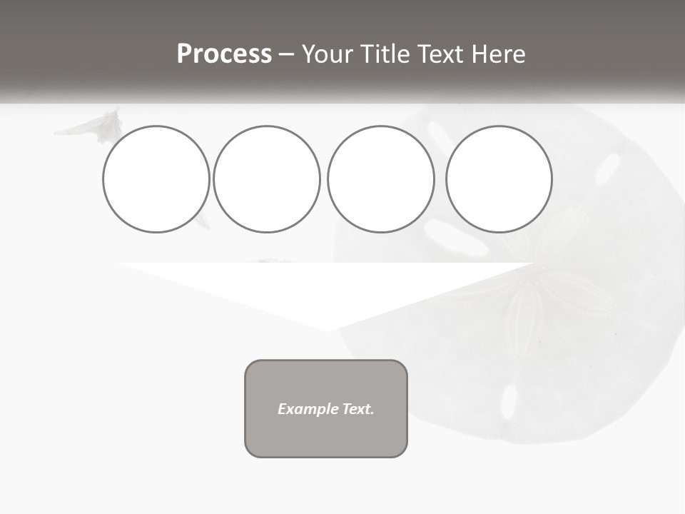 Brown Nature Marine PowerPoint Template