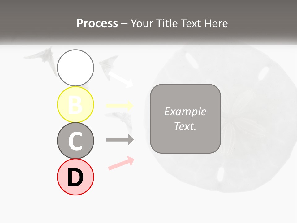 Brown Nature Marine PowerPoint Template