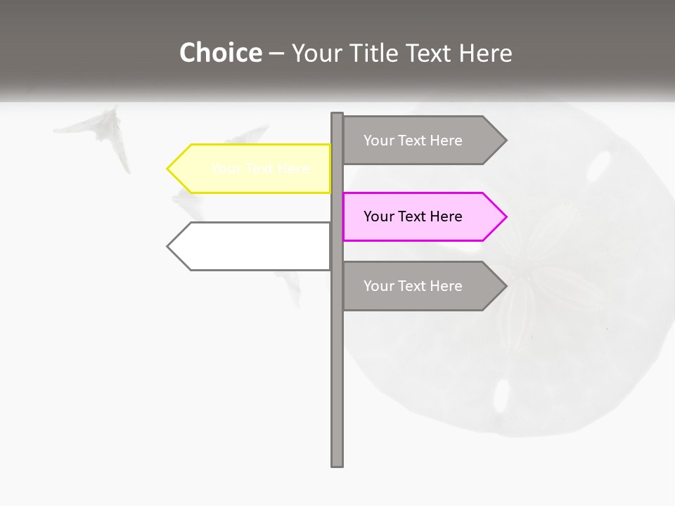 Brown Nature Marine PowerPoint Template