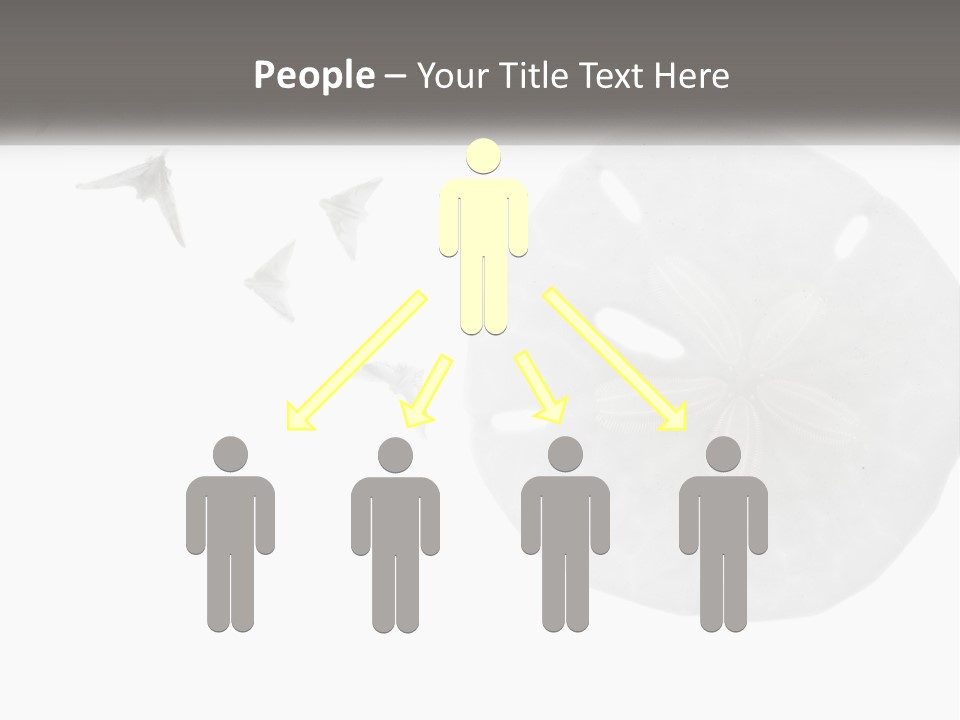 Brown Nature Marine PowerPoint Template