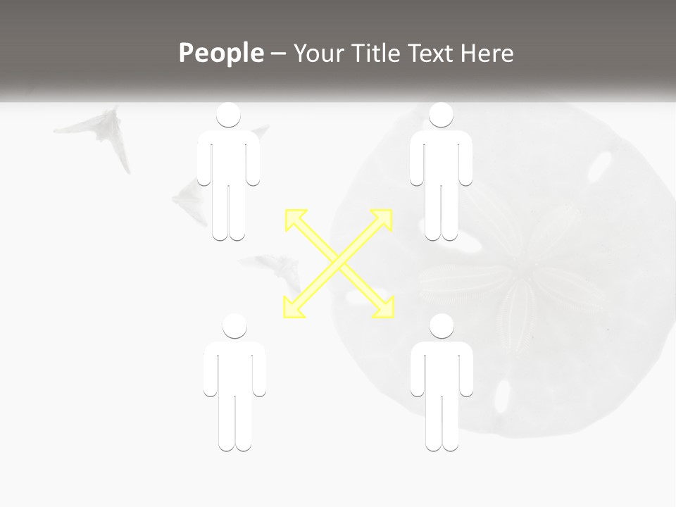 Brown Nature Marine PowerPoint Template