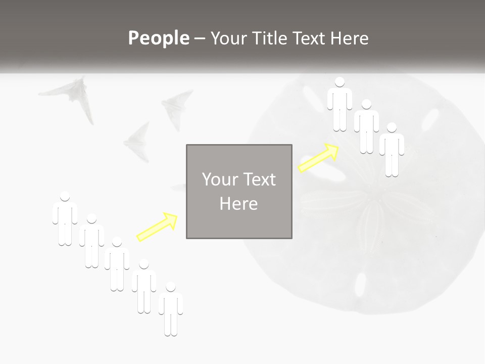 Brown Nature Marine PowerPoint Template