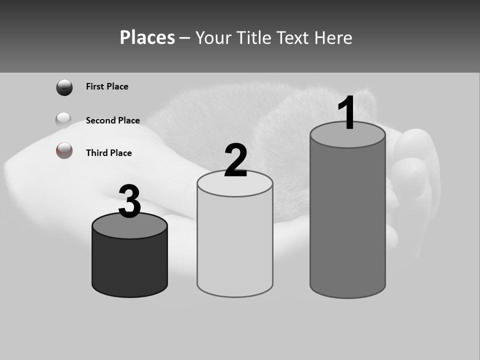 Grey Hand Kitty PowerPoint Template