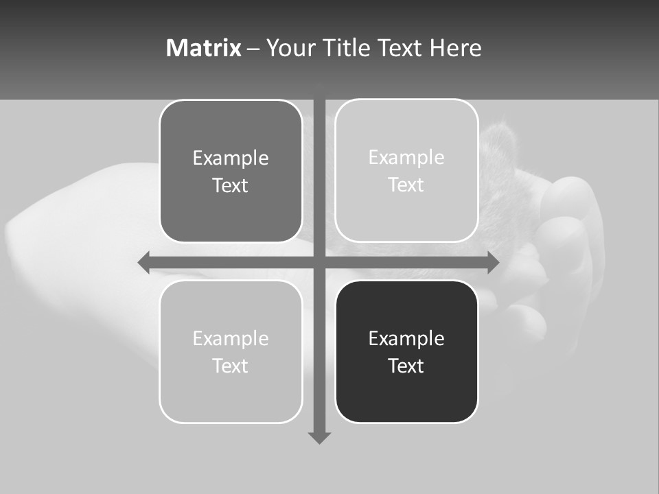 Grey Hand Kitty PowerPoint Template