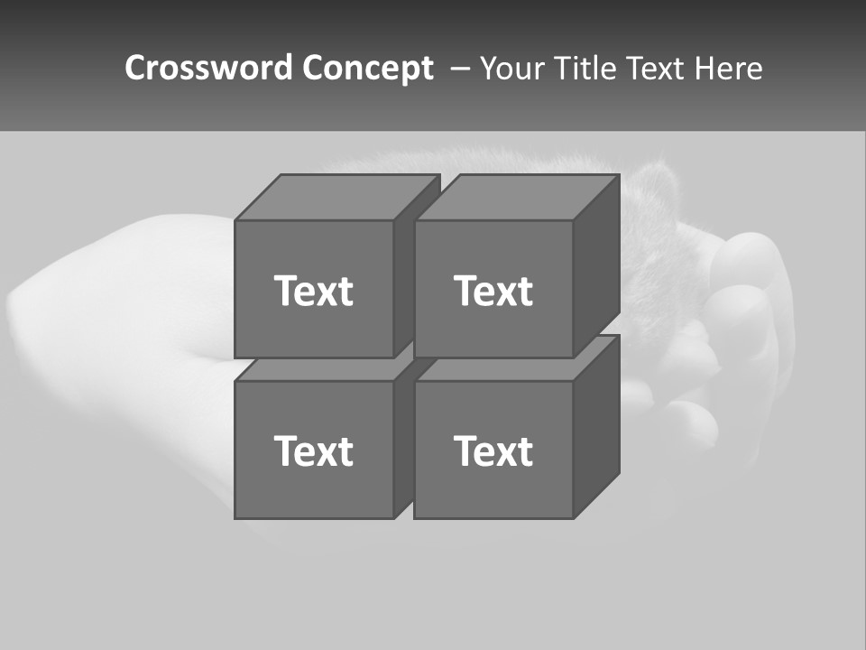 Grey Hand Kitty PowerPoint Template