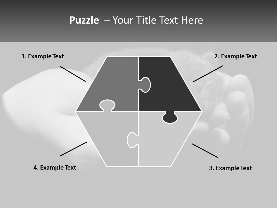 Grey Hand Kitty PowerPoint Template