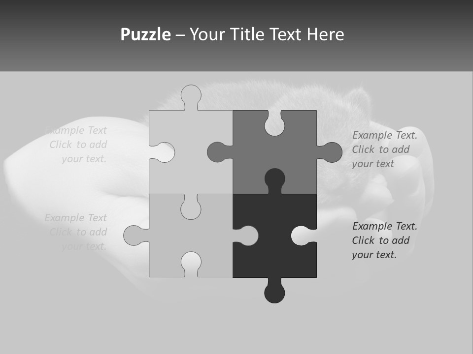 Grey Hand Kitty PowerPoint Template