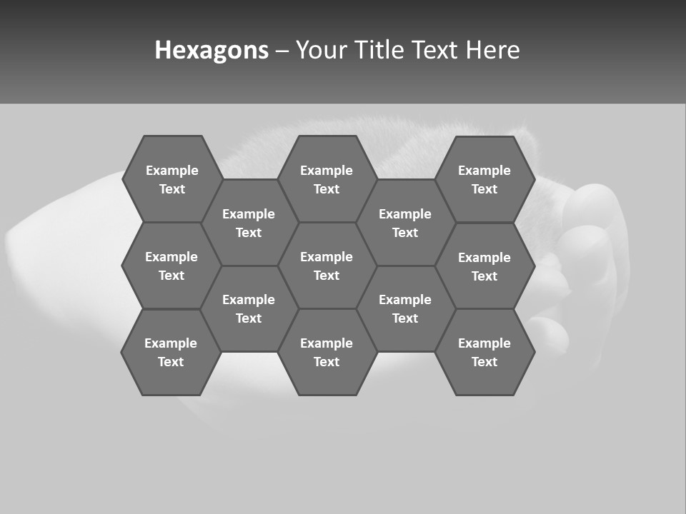 Grey Hand Kitty PowerPoint Template